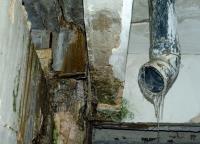 Water Damage Experts of Tree City image 8