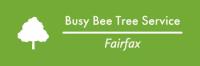 Busy Bee Tree Service Fairfax image 5