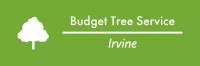 Budget Tree Service Irvine image 3