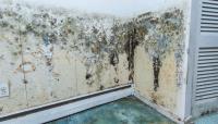 Water Damage Experts of Peach State image 1