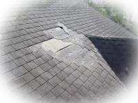 Gulf Coast Roof Restoration image 3