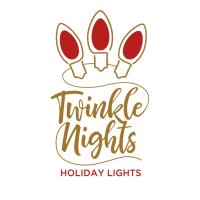 Twinkle Nights Holiday Lights image 2