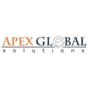 Apex Global Solutions  logo
