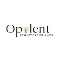 Opulent Aesthetics and Wellness image 1