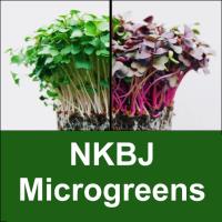 NKBJ Microgreens image 5
