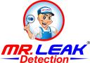 Mr. Leak Detection of Niceville logo