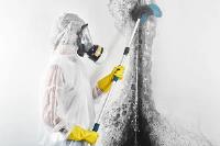 Black Mold Removal Services of Cleveland image 2