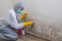 Black Mold Removal Services of Cleveland image 3
