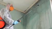 Black Mold Removal Services of Cleveland image 5