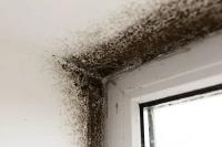 Black Mold Removal Services of Cleveland image 6