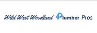 Wild West Woodland Plumber Pros image 1