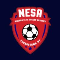 Niagara Elite Soccer Academy image 1