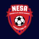 Niagara Elite Soccer Academy logo