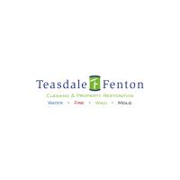 Teasdale Fenton Restoration image 2