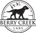 Berry Creek Labs logo