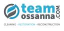 Team Ossanna logo