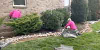 Dempster Brothers Lawn Care & Landscaping image 2