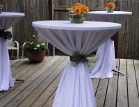 Texas Party Rental image 9