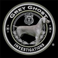 Grey Ghost Investigations - Private Investigator image 1