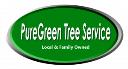 PureGreen Tree Service logo