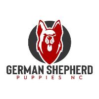 German Shepherd Puppies NC image 1