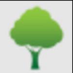 Rapids Tree Service Pros image 1