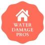 Tall City Water Damage Pros logo