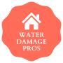 Midland County Water Damage Wizards logo
