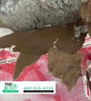 Mold Act of Plano image 3