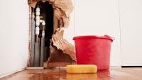 Maricopa County Water Damage Experts image 1