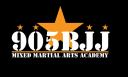 905 Brazilian Jiu Jitsu logo