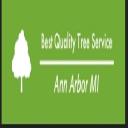 Pro Tree Service Houston Tx logo