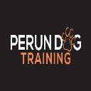 Perun Dog Training logo