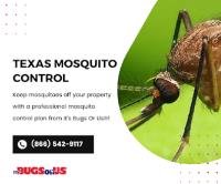 It's Bugs Or Us Pest Control - The Woodlands image 3