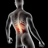 Westminster Spine + Injury + Laser Center image 9