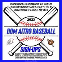 Dom Aitro Baseball League image 1
