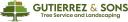 Gutierrez & Son's Tree Service logo