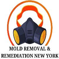 Mold Removal & Remediation - Staten Island image 1