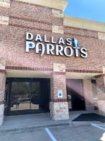 Dallas Parrots image 2