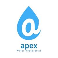 Apex Water Restoration image 1