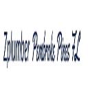 1st Plumber Dallas TX Company logo