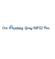 One Plumbing Spring Hill FL Pros image 1