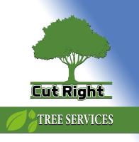 Cut Right Tree Service image 1