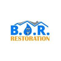 Best Option Restoration (B.O.R.) of Travis County image 1