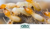 Alta Pest Control image 2