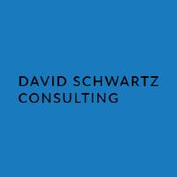 David Schwartz Consulting image 1