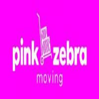 Pink Zebra Moving image 5