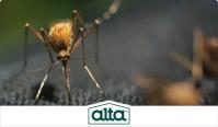 Alta Pest Control image 3