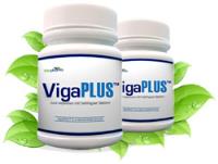 VigaPlus Ltd. image 2