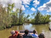 Everglades Airboat Excursion image 6